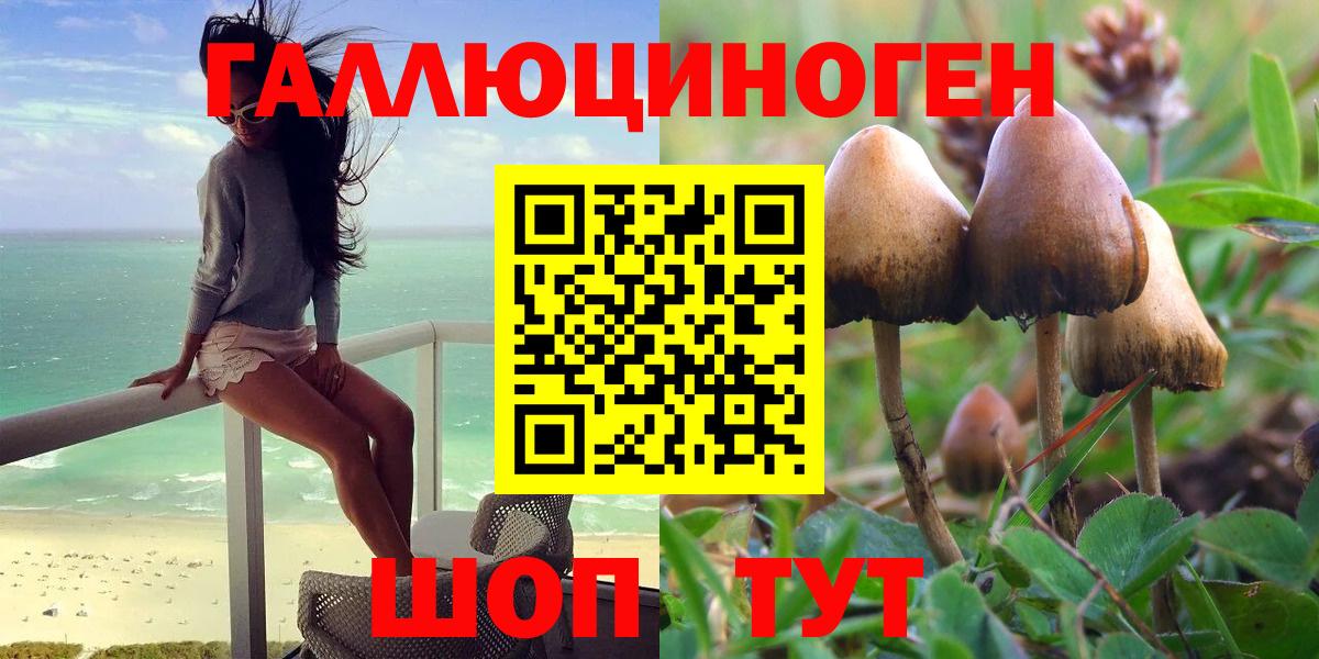 Чусовой  Галлюциногенные грибы Cubensis  Галлюциногенные грибы мицелий  Вход с VPN 